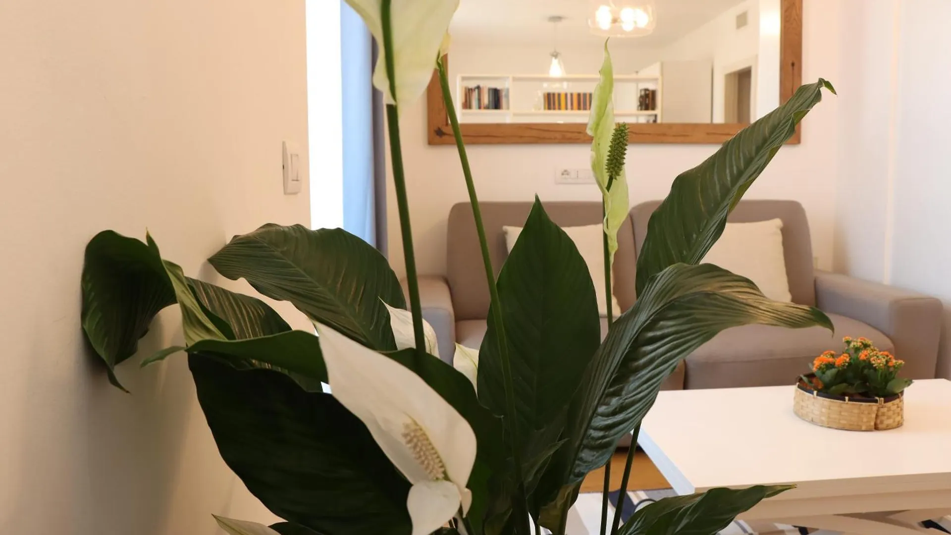 Appartamento Signorile Iun S0575 Cagliari Italia